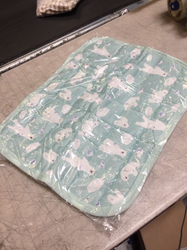 Photo 1 of Baby changing mat 12x24in