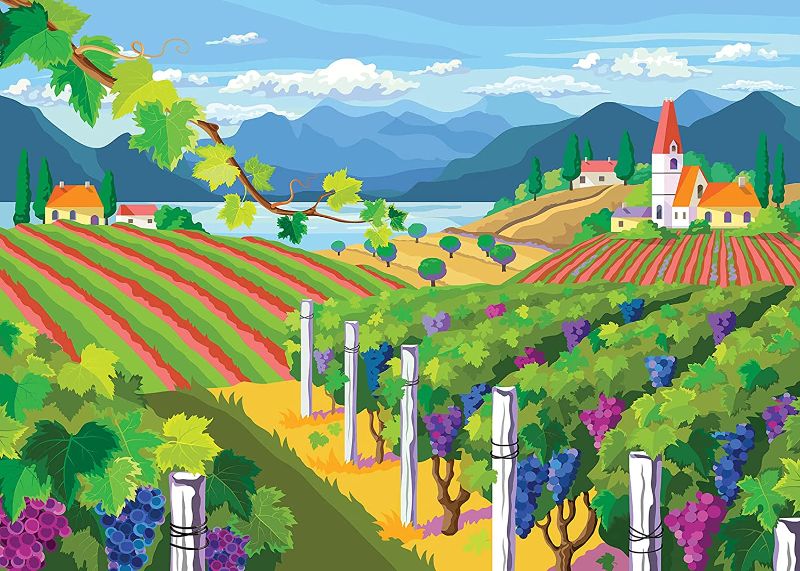 Photo 1 of Vibrant Vineyard 1000 Piece Jigsaw Puzzle by Colorcraft
