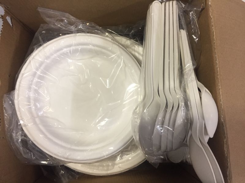 Photo 3 of 250 Piece Biodegradable Paper Plates Set