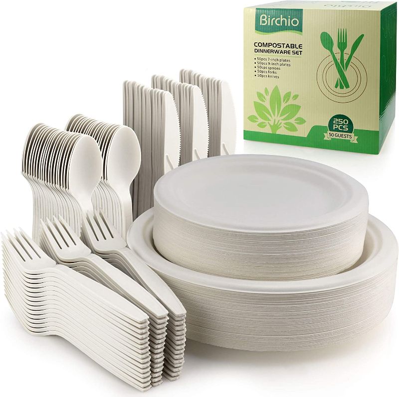 Photo 1 of 250 Piece Biodegradable Paper Plates Set