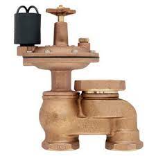 Photo 1 of 3/4 in. Auto Brass Anti-Siphon Valve
