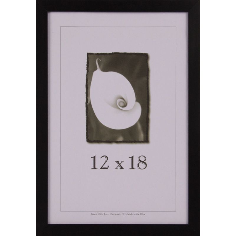 Photo 1 of 12x18 black frame frame 