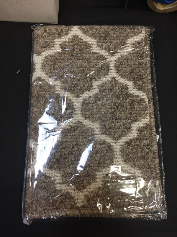 Photo 1 of BROWN RUG 20" X 32"