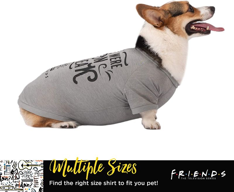 Photo 1 of 'We were on a break' dog t-shirt - Gray - Soft - Machine washable - Lightweight and semi-stretch - Size XL for all large dogs
