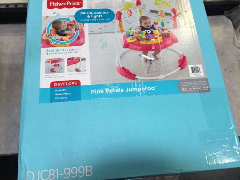 Photo 1 of Fisher-Price Pink Petals Jumperoo&trade;