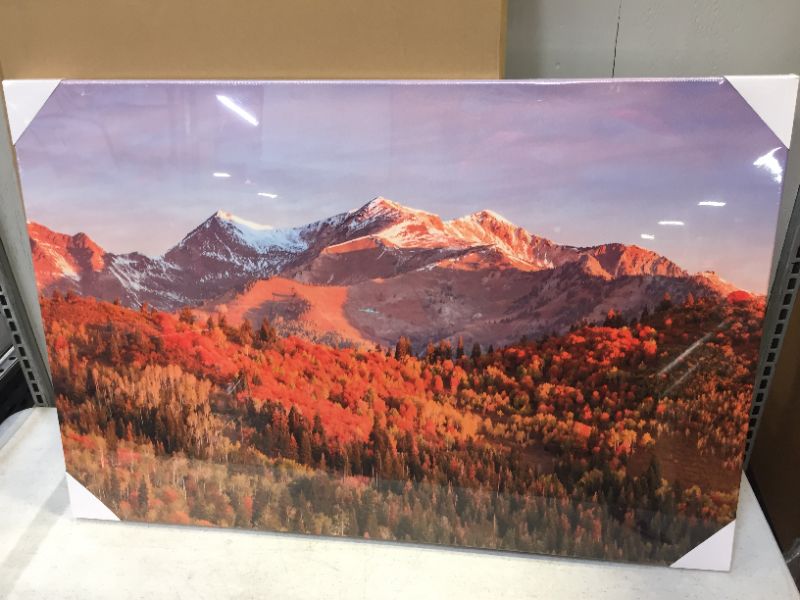 Photo 1 of 3 x 2 scenic wall art color orange 