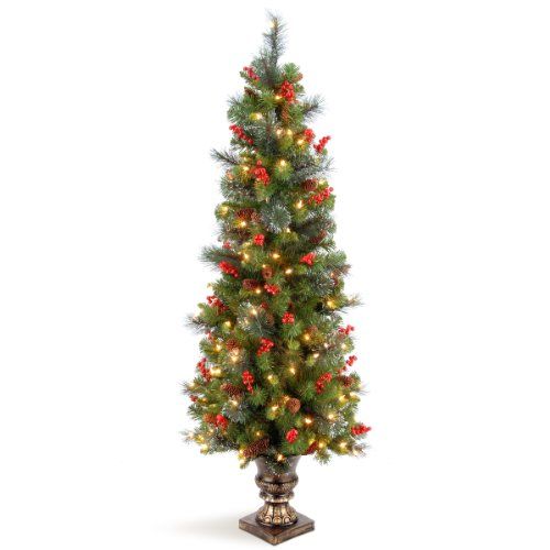 Photo 1 of National Tree Company Pre-lit Artificial Christmas Tree For Entrances Includes Pre-strung White Lights and Stand Crestwood Spruce - 5 ft