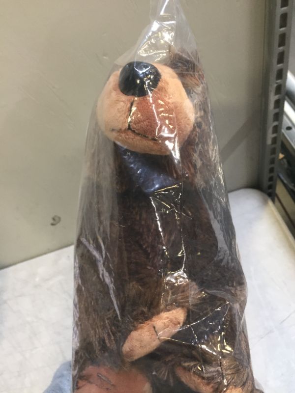 Photo 1 of Cuddlekins Grizzly Bear Plush Stuffed Animal by Wild Republic, Kid Gifts, Zoo Animals, 12 Inches
