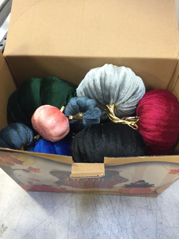 Photo 1 of 12 pcs velvet variety colors and sizes thanksgiving pumpkins 