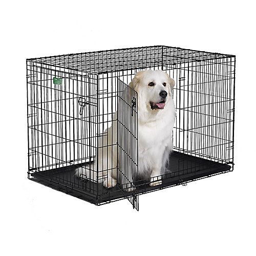 Photo 1 of MidWest iCrate Double Door Fold & Carry Dog Crate, 36" x 23" x 25"