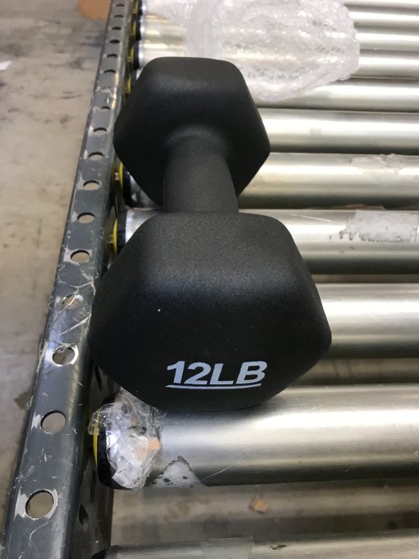 Photo 1 of 12LB DUMBELL