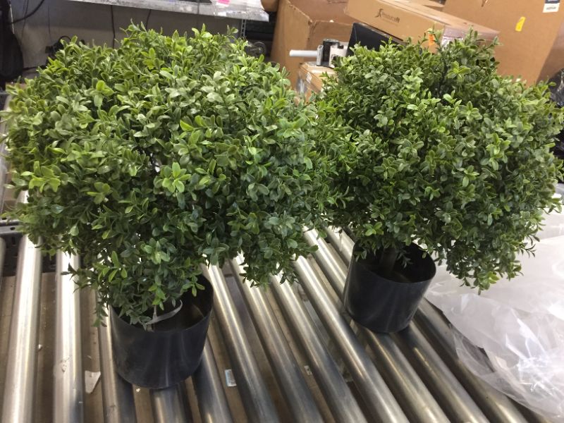 Photo 1 of 2 pack of artificial tree plants 20in tall