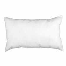 Photo 1 of 20 x 28 inch pillow 2 count