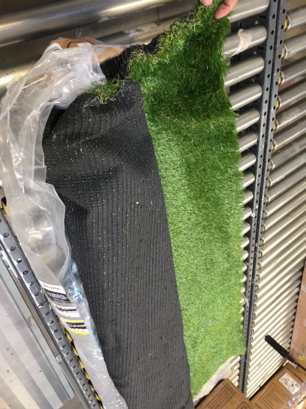 Photo 2 of 5X7 TURF GRASS