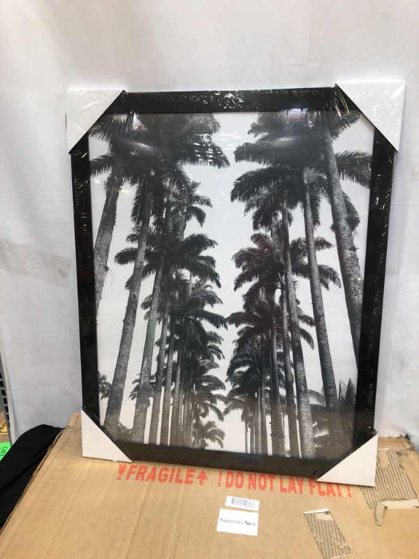 Photo 1 of Americanflat 22x28 Poster Frame in Black with Polished Plexiglass - Horizontal and Vertical Formats with Included Hanging Hardware

