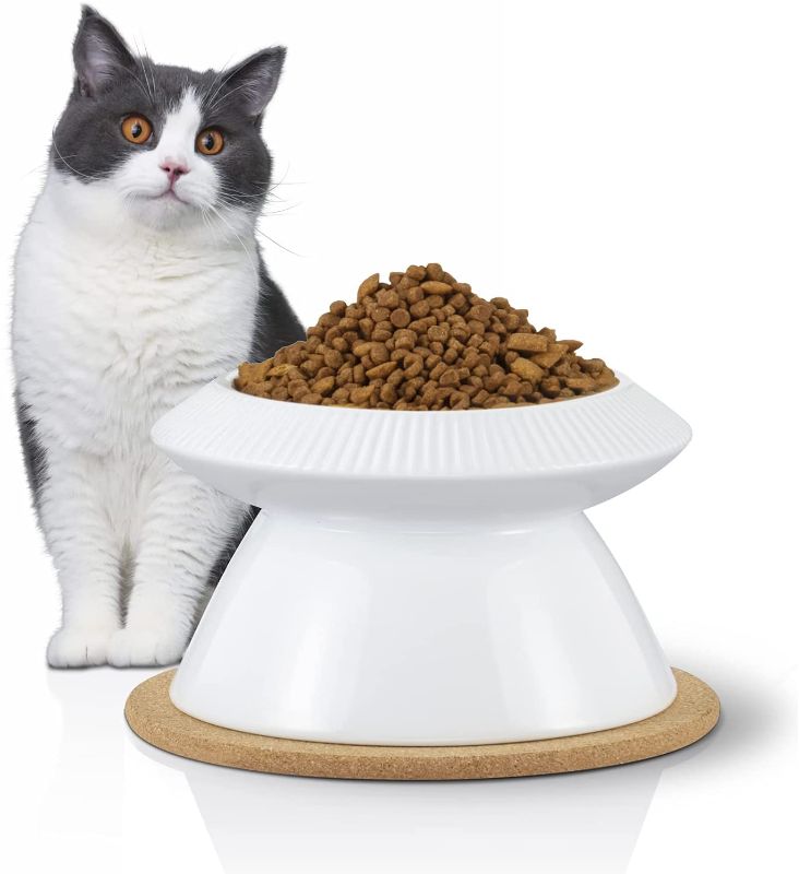 Photo 1 of Cat Bowl Cat Food Bowl Elevated cat Bowls for Whisker Fatigue, Raised cat Bowl Indoor, Protect Cats Neck, Wide, Shallow
