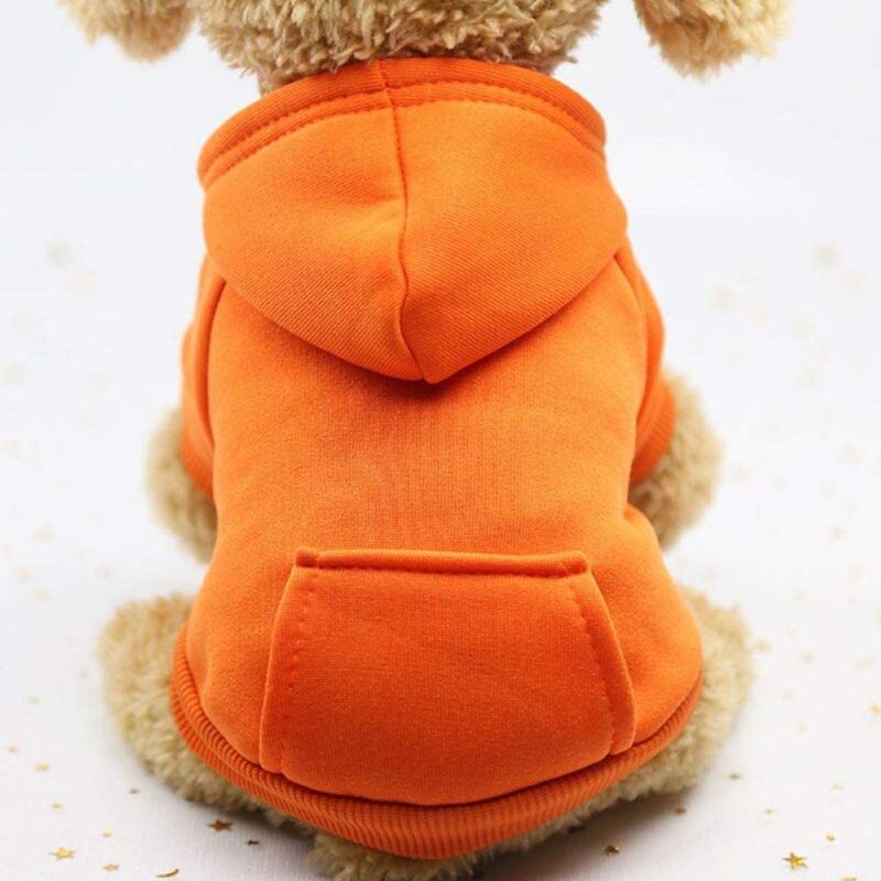 Photo 1 of Lotus And Ladybug Hoodie for Dogs | Dog Hoodie - XL (for small dogs)
