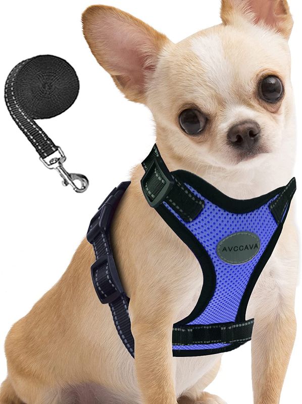 Photo 1 of AVCCAVA Dog Harness - Soft Mesh Breathable Dog Vest Harnesses for Puppies and Small Dogs, Cat Harness and Leash for Control Walking, Easy Adjustable Reflective Kitten Escape Proof Harnesses
