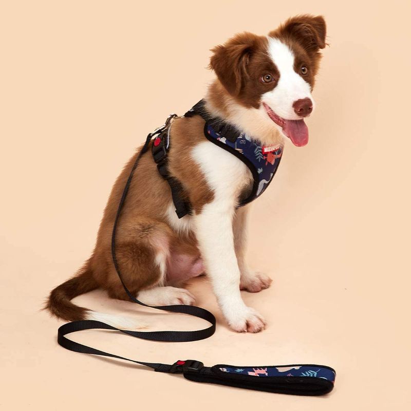 Photo 1 of MUDINPET Dog Harness Vest with 4ft Leash, Small Medium Large Dog Harness, Puppy Training No Pull Vest, Reflective Safety Comfort for Walk 4ft Lead XS
