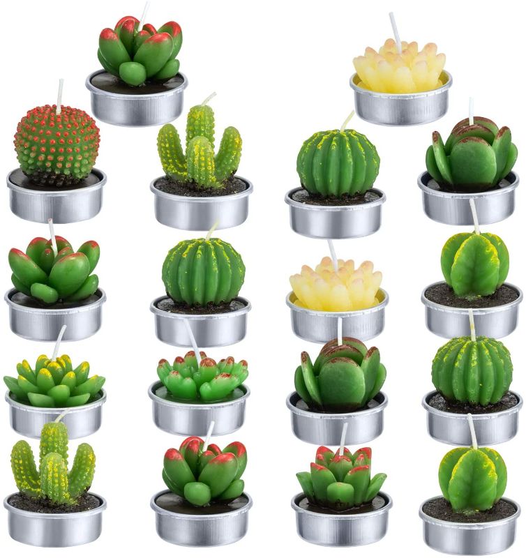 Photo 1 of Cactus Tealight Candles 18 Pcs