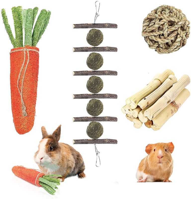 Photo 1 of 100% Natural Apple Wood Sticks Timothy Hay Balls Loofah Carrot Sweet Bamboo Toys for Bunnies/Chinchillas/Guinea Pigs/Hamsters