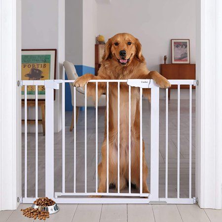 Photo 1 of Cumbor 46” Auto Close Safety Baby Gate, Extra Tall and Wide Child Gate, Easy Walk Thru Durability Dog Gate for the House, Stairs, Doorways. Includes
