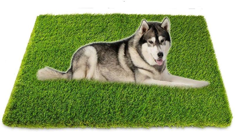 Photo 1 of Artificial Grass, Professional Dog Grass Mat, Potty Training Rug and Replacement Artificial Grass Turf, Large Turf Outdoor Rug Patio Lawn Decoration, Easy To Clean with Drainage Holes?32inch x 48inch?
