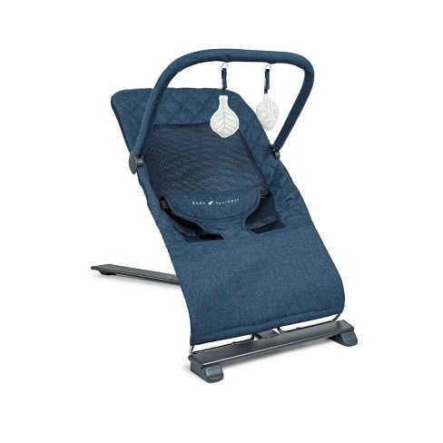 Photo 1 of Baby Delight Alpine Deluxe Portable Bouncer

