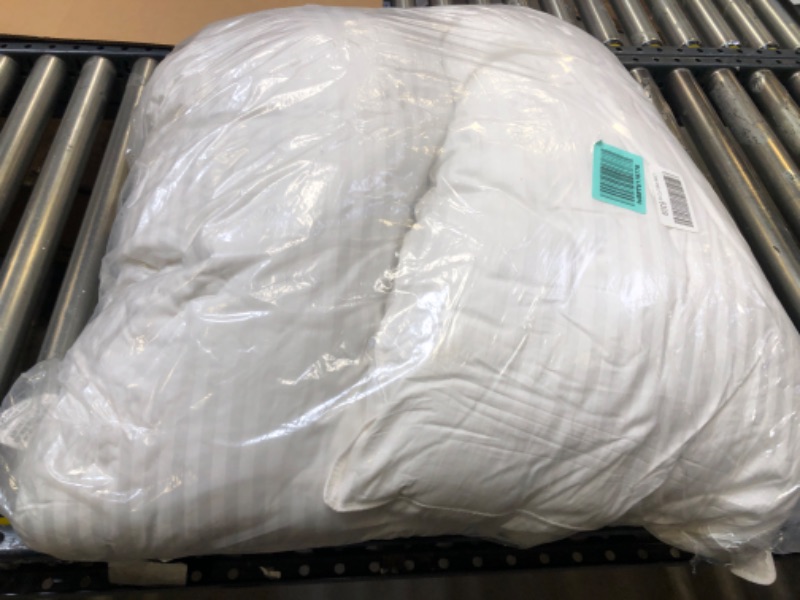 Photo 1 of 2PK PILLOWS 
USED, DIRTY DUE TO SHIPPING AND HANDLING 