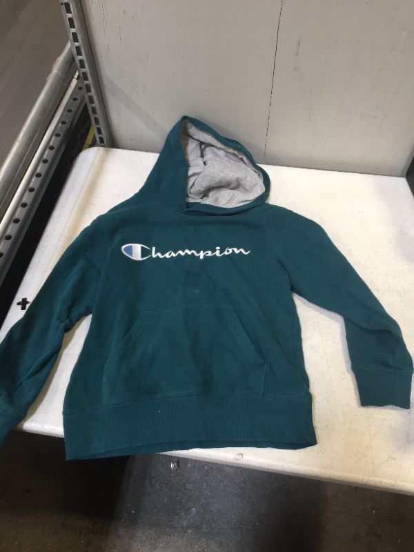 Photo 1 of KIDS CHAMPION SWEATER HOODIE BLUE GREEN
SIZE SMALL