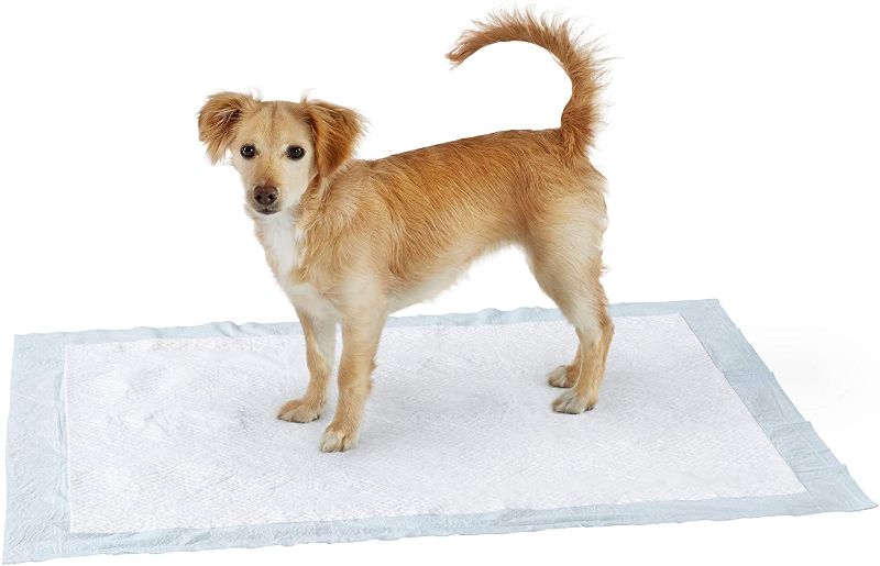 Photo 1 of Amazon Basics Dog and Puppy Pads, Leak-proof 5-Layer Pee Pads with Quick-dry Surface for Potty Training-XL
