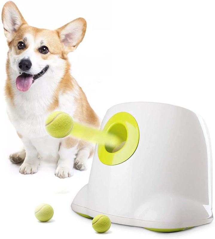 Photo 1 of AFP Automatic Dog Ball Launcher Interactive Puppy Pet Ball Indoor Thrower Machine for Small and Medium Size Dogs, 3 Balls Included (2 inch)