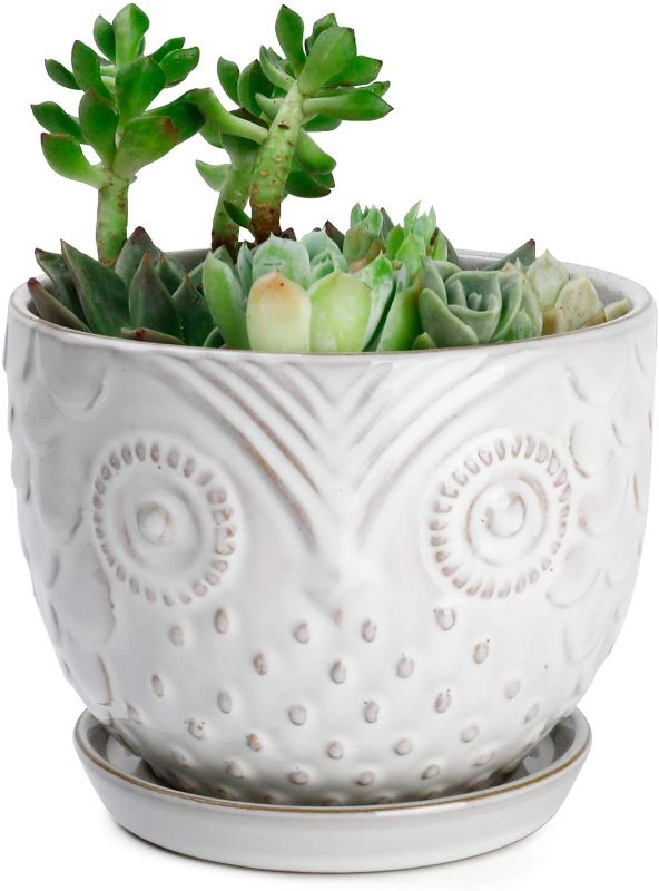 Photo 1 of Greenaholics Owl Planters Ceramic Animal Plant Pots- 6.1 Inch White Succulents Aloe Planter Indoor Large Animal Flower Pots with Attached Tray and Drainage Hole for Cactus Snake Plant Decorative Gifts
