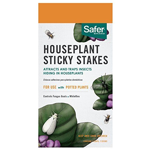 Photo 1 of Safer Brand House Plant Sticky Stakes 7 traps – 12 pack 
