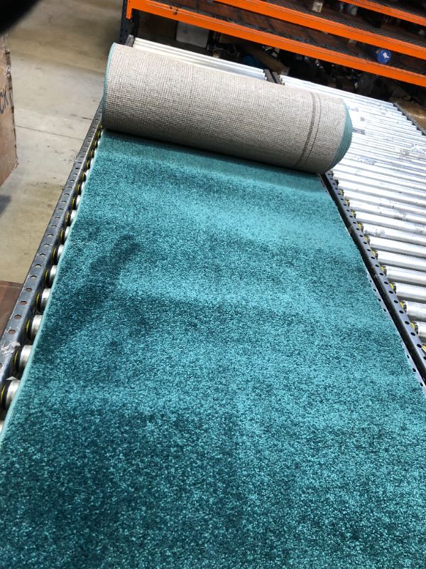 Photo 1 of green runway rug 