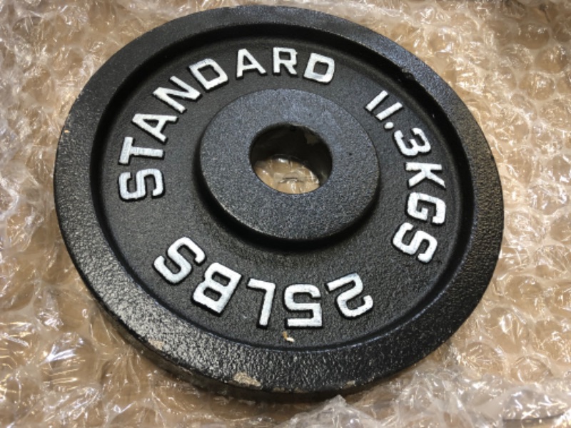 Photo 1 of 25lb weight bumper plate