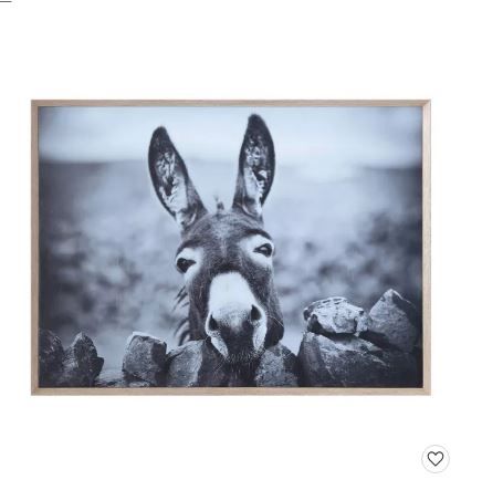 Photo 1 of 38.7" x 28.7" Donkey on Canvas Framed Wall Art Black/White - 3R Studios
