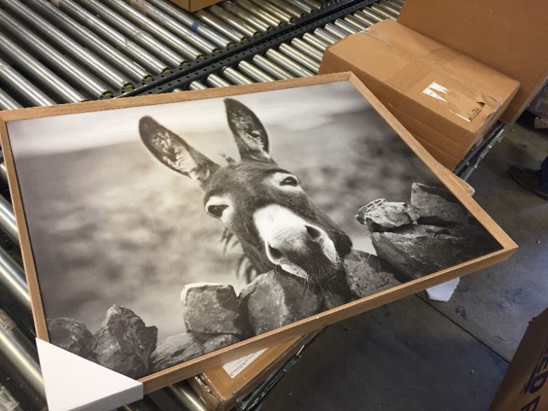 Photo 1 of 38.7" x 28.7" Donkey on Canvas Framed Wall Art Black/White - 3R Studios
