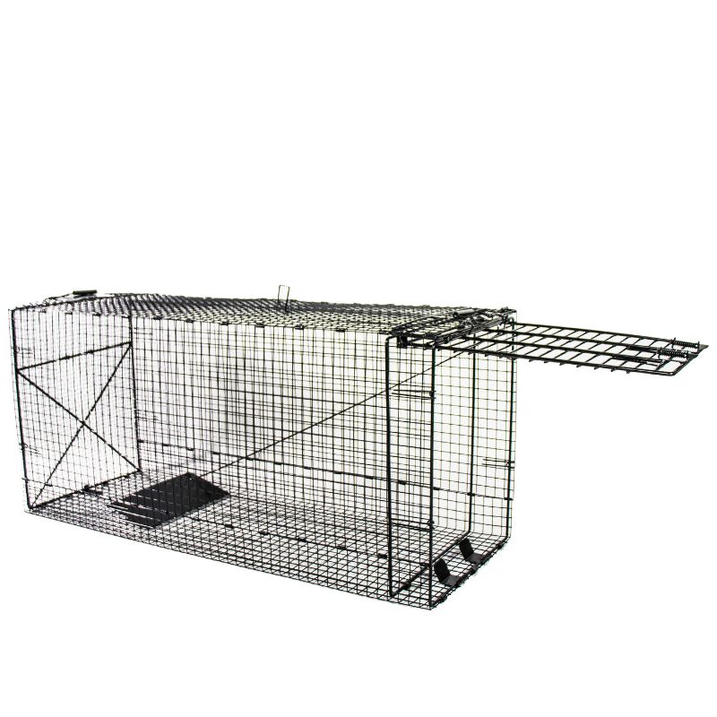 Photo 1 of Humane Way Foldable Metal Animal Trap XL - 50 Inch x 20 Inch x 26 Inch
