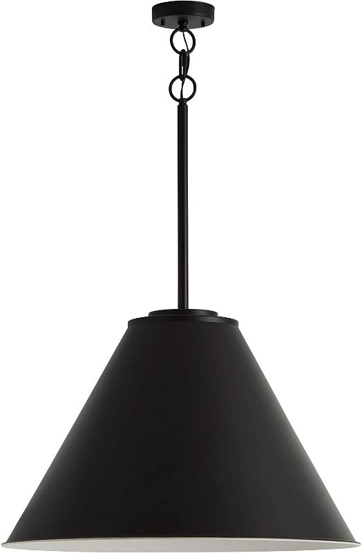 Photo 1 of Amazon Brand – Stone & Beam Vintage Large-Format Pendant Light with Bulb, 30"H, Black
