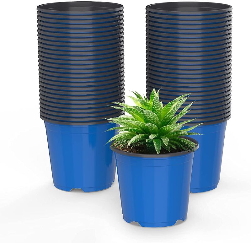 Photo 1 of DUNPUTE 4 5 6 Inch Nursery Pots, 50 Packs Seedling Pots with Drainage Hole, Plastic Plant Starting Containers for Seedling Cutting Transplanting (Blue, 4 Inch)
