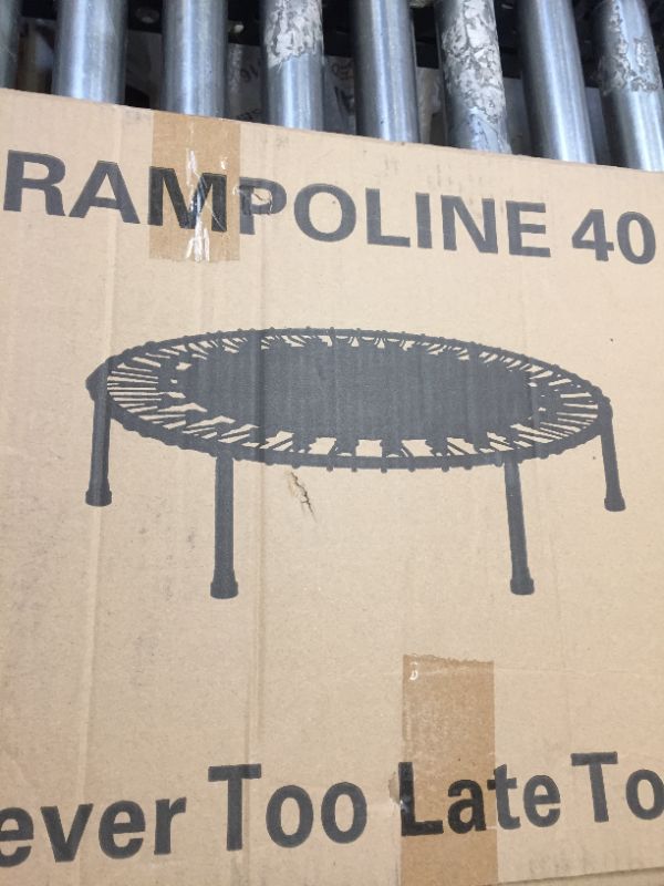 Photo 1 of 40 IN MINI TRAMPOLINE 