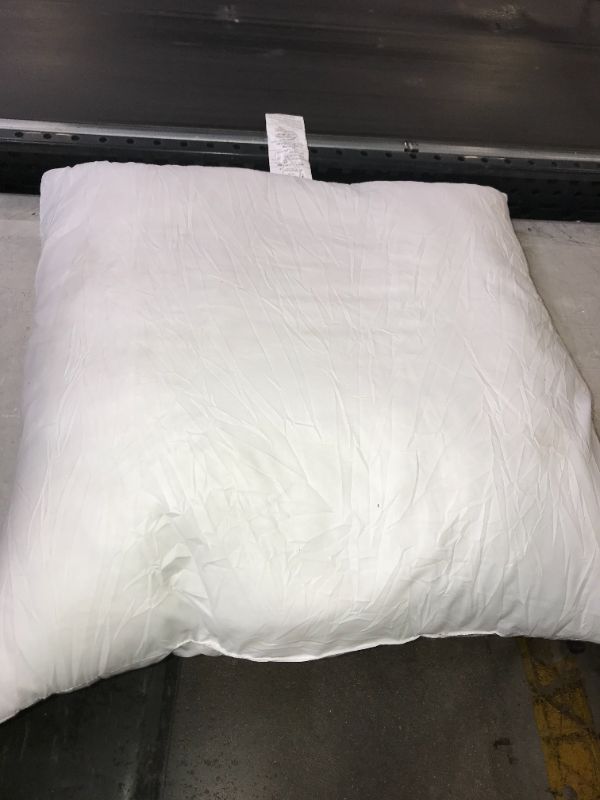 Photo 1 of 23 INCH PILLOW