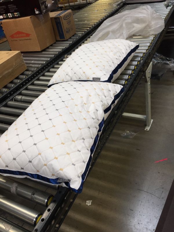 Photo 1 of AiAngu Pillows for Sleeping - [2 Pack] Premium Hotel Bed Pillows?Breathable Down Alternative Cooling Pillows Good for Side Back and Stomach Sleepers,100% Breathable Cotton Cover Skin-Friendly (Queen)
