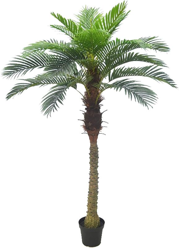 Photo 1 of AMERIQUE Gorgeous 6' Phoenix Palm Tree Artificial Silk Plant with UV Protection, with Nursery Plastic Pot, Feel Real Technology, Super Quality, for Both Indoor and Outdoor Display, 72", Green
