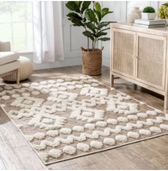 Photo 1 of Bellagio Chiara Tribal Moroccan Beige 7 ft. 10 in. x 10 ft. 6 in. High-Low Flat-Weave Area Rug
(( HAS DIRT STAINS ))