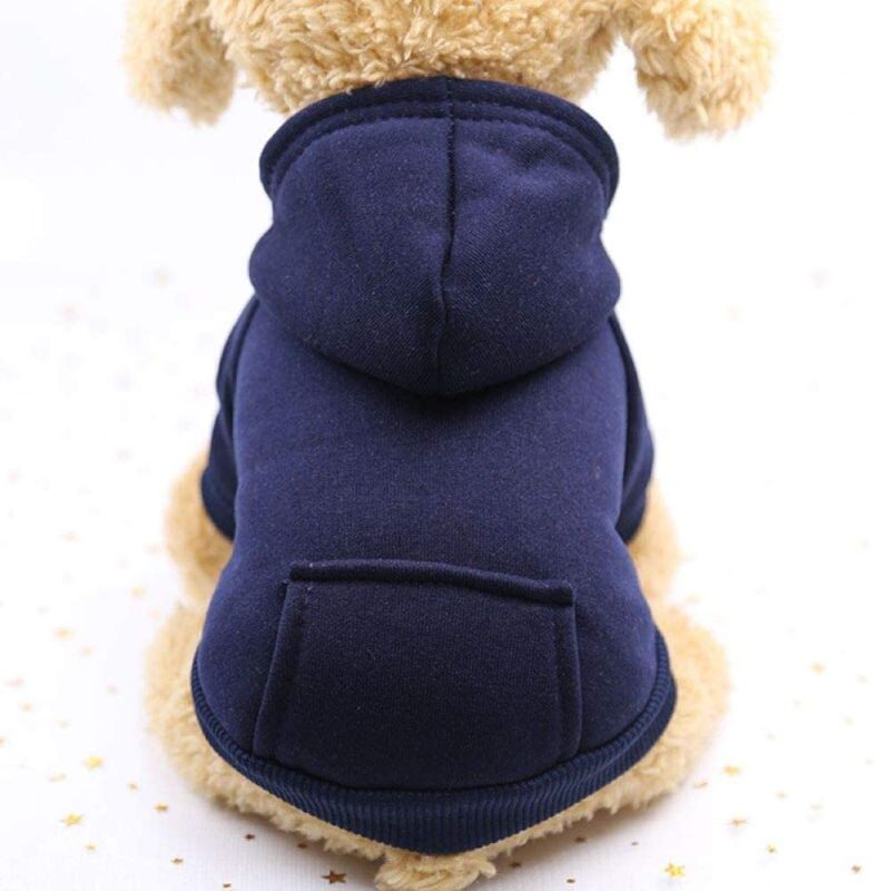 Photo 1 of Lotus And Ladybug Hoodie for Dogs | Dog Hoodie - medium 
