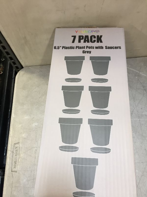 Photo 4 of Youngever 7 Pack 6.5 Inch Plastic Planters, Indoor Flower Plant Pots, Classic Decorative Gardening Pot with Drainage (Grey with Saucers)
