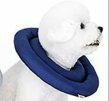Photo 1 of ARRR Dog Comfy Cone