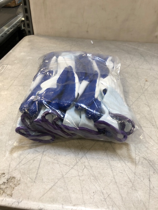 Photo 1 of 10 pack thin gardening gloves ( purple and blue ) 